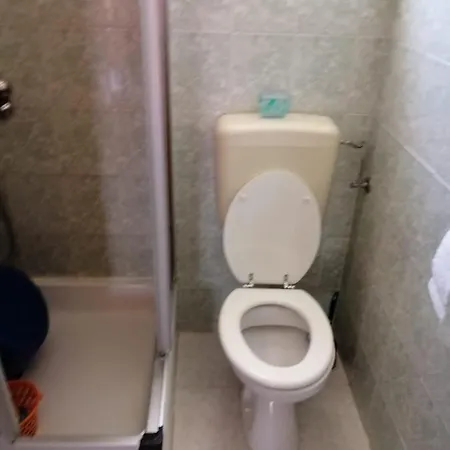 Penava דוגי ראט